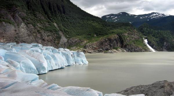 nobelul pentru economie castigat de doi americani