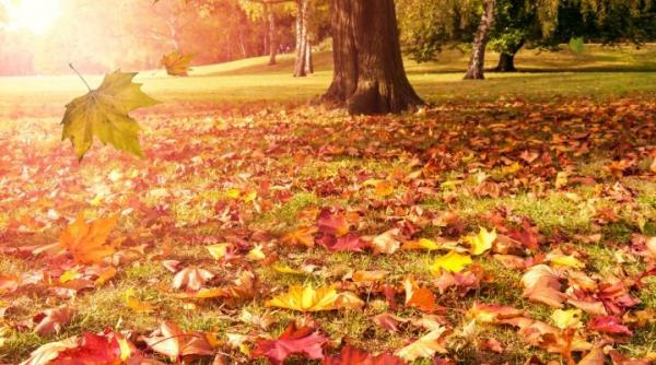 prognoza meteo pentru 10 11 12 si 13 octombrie cer senin