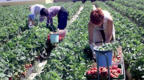 romani au la dispozitie peste 2 000 de locuri de munca in strainatate prin eures romania