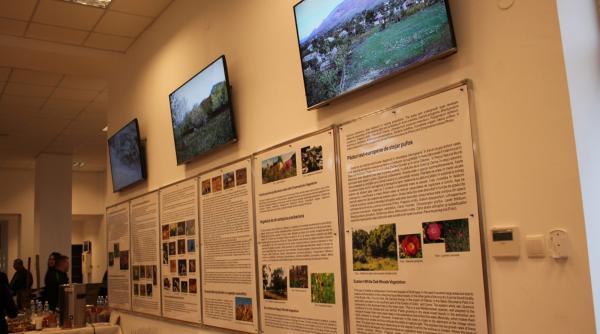 centrul de vizitare si informare muntii macinului