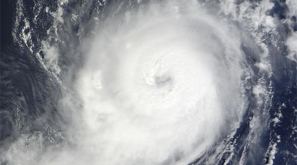 uraganul michael cel mai puternic din ultimii 25 de ani