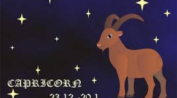 horoscop cum va fi anul 2019 pentru nativii din zodia capricorn
