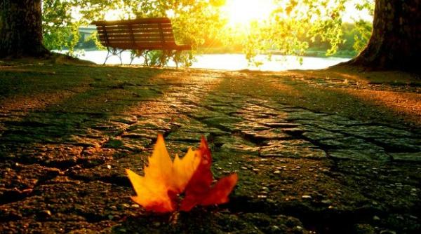 prognoza meteo pentru 16 17 18 si 19 octombrie cer senin