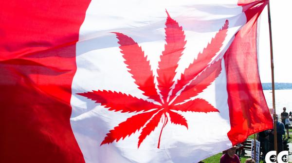 consumul recreational de marijuana a devenit legal in canada incepand de azi