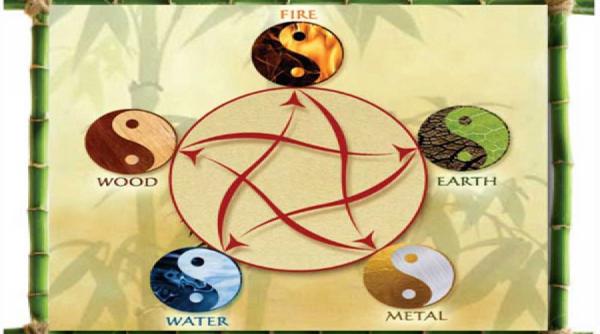 cele 10 tulpini celeste care ne influenteaza viata