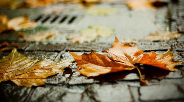 anunt de ultima ora de la meteorologi vreme schimbatoare in urmatoarele doua saptamani ploi prognozate dupa 25 octombrie