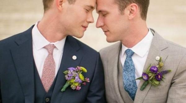 proiect de lege privind parteneriatul civil depus la parlament