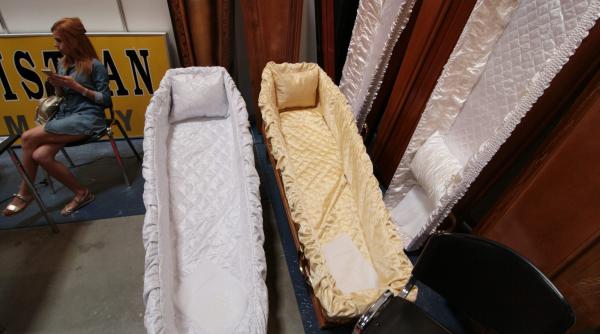 sub pamant srl un business de perspectiva