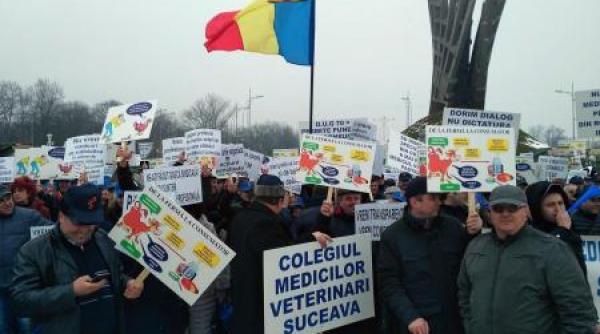 colegiul medicilor veterinari organizeaza astazi un miting de protest in piata victoriei