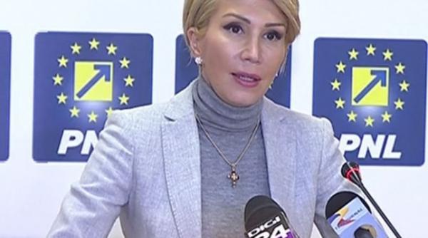 turcan solicita amanarea pentru saptamana viitoare a votului privind asf cna cncd si cnsas