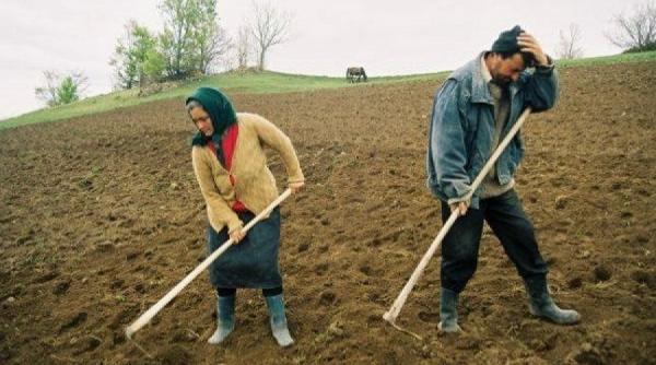 proiect de lege refuzul de a lucra ca zilier conduce la anularea ajutorului social