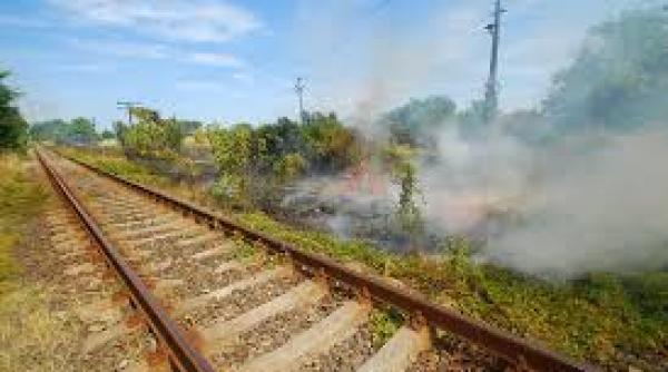 tren blocat pe sine traversele de cale ferata au luat foc de la un incendiu de vegetatie uscata din timisoara