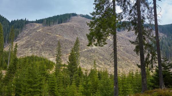 sfaturi pentru a avea grija de natura