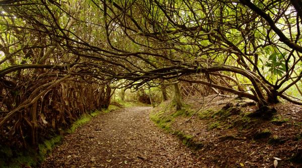 un asistent social de 24 de ani a violat si omorat o fetita de 13 ani
