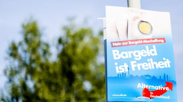 atac al unor barbati mascati inainte de congresul afd din germania