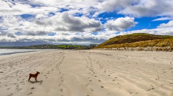 sticla betonul si nisipul de pe plaja create din explozii cosmice