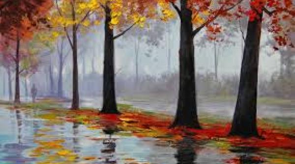 atentionare anm avertizari de ploi si polei in sase judete in orele urmatoare