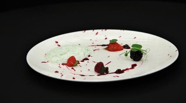 inghetata de mici si mousse dulce de castravete in farfuriile juratilor chefi la cutite