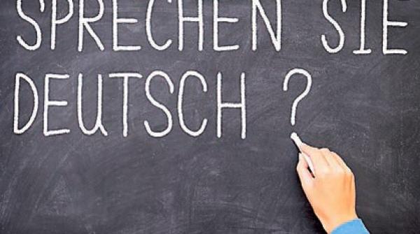 jumatate din tineri vor sa invete germana