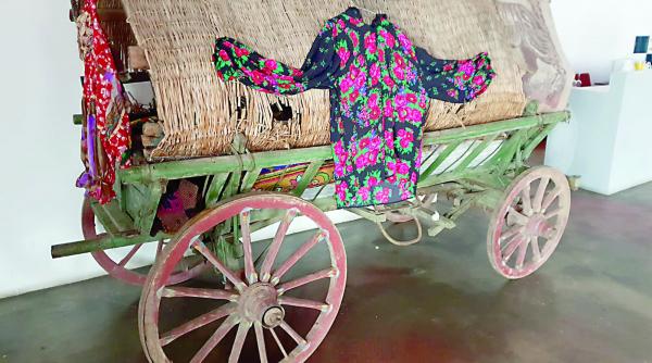 o zi la muzeul romilor