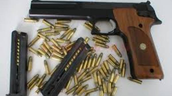 senatul a decis romanii ar putea detine arme la liber