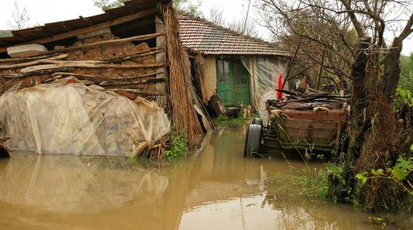 a scazut numarul politelor de asigurare obligatorie a locuintelor