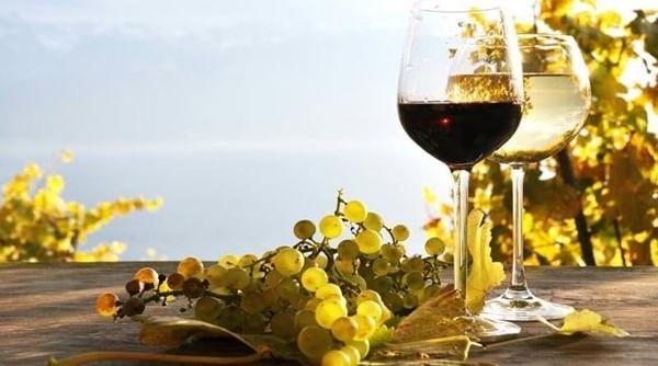 ordinea in care se aduc vinurile la masa azi