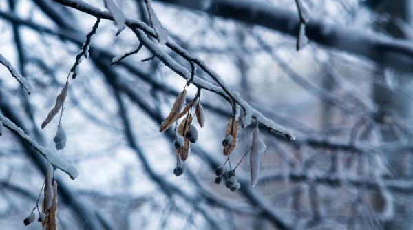 prognoza meteo pentru 6 7 8 si 9 decembrie 2018 cer noros