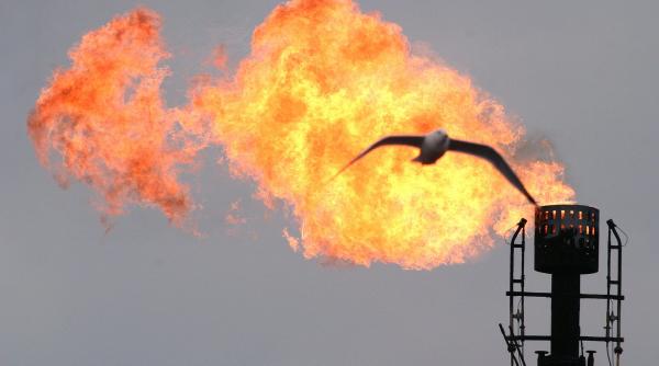 cum va fi cand nu vom mai avea niciun leu in buzunar