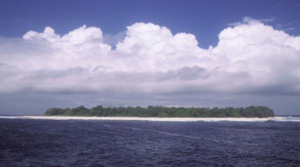 guvernul danez va trimite refugiatii pe o insula pustie unde erau cercetate animalele contagioase