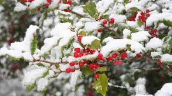 cum va fi vremea in acest weekend