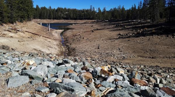 cursuri de salvat planeta