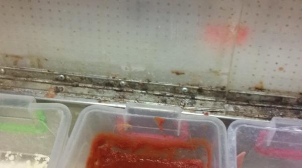 mizerie de nedescris in trei pizzerii din centrul vechi