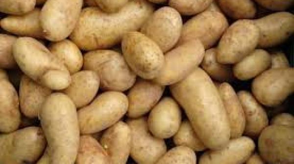 cartoful este in topul legumelor care s au scumpit cel mai mult anul acesta