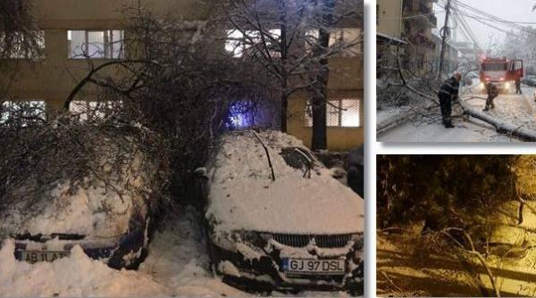 efectele ninsorii si viscolului 150 de copaci au cazut in bucuresti si 16 judete
