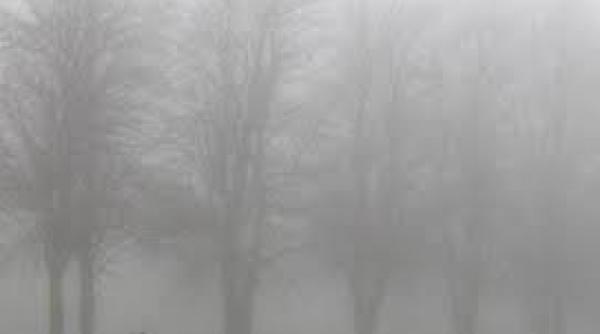 cod galben de ninsori si viscol in zonele de munte din suceava si caras severin