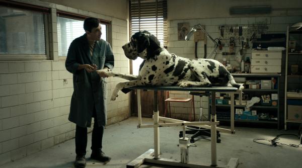 dogman o pelicula dura si tuburatoare