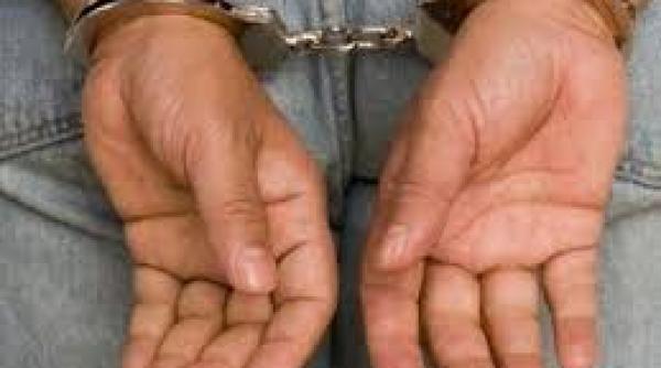 patru presupusi teroristi au fost arestati in olanda