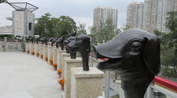 horoscop chinezesc 2019 anul mistretului se anunta a fi unul norocos