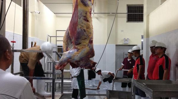 belgia interzice ritualurile halal si kosher de sacrificare a animalelor