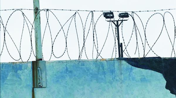 copii electrocutati pentru marturii false