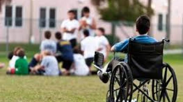 parinti din sapte tari membre ale ue cer o lege pentru educatia incluziva a copiilor cu dizabilitati