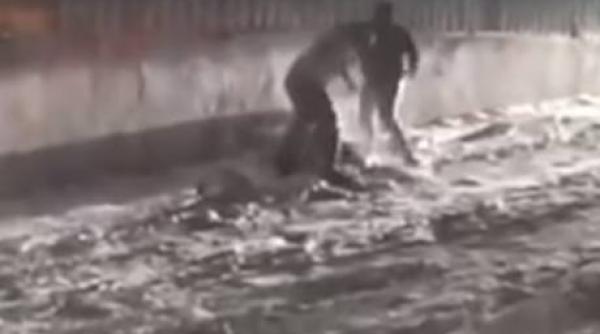 crima de la medias cei 3 recidivisti suspecti de omor arestati preventiv pentru 30 de zile