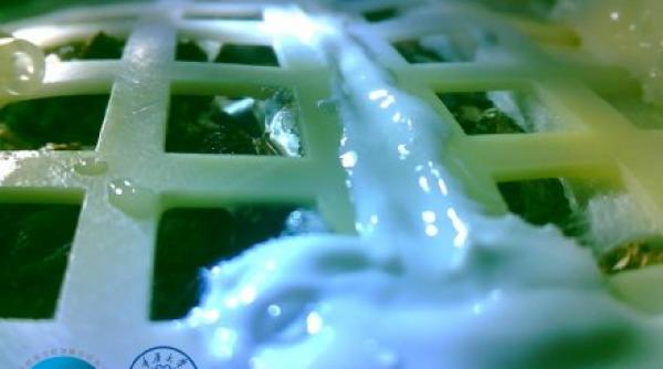 chinezii au inceput sa creasca bumbac pe fata nevazuta a lunii