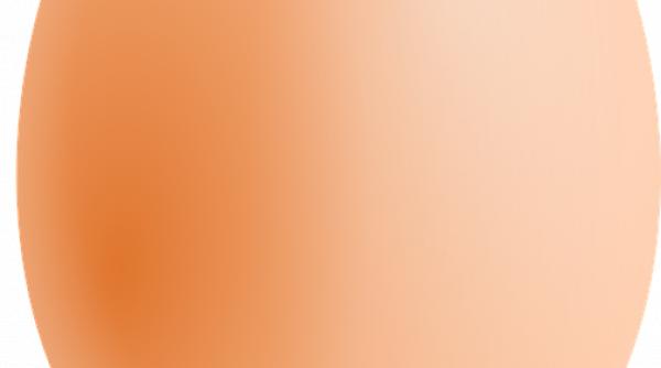 oul de pe instagram cea mai apreciata poza a platformei de socializare