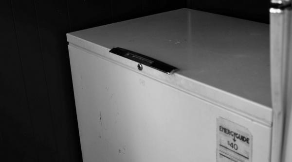 trei copii au murit dupa ce au ramasi blocati intr un congelator