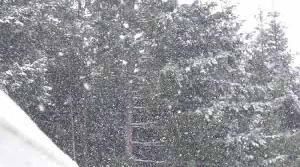 avertizare cod portocaliu de vant in zonele montane din prahova si dambovita in orele urmatoare