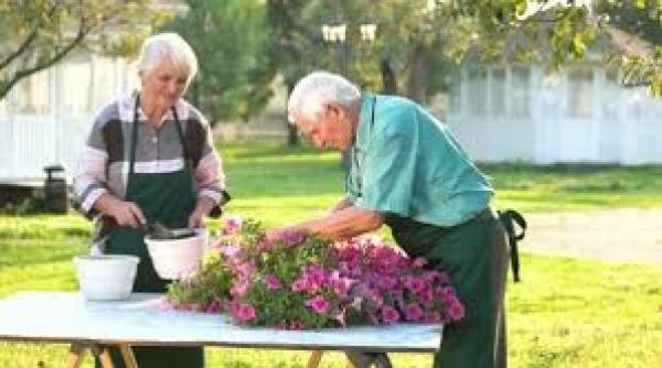 studiu activitatea fizica la persoanele varstnice ar putea combate efectele dementei