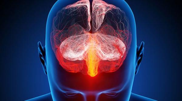 alerta medicala focar de meningita la suceava