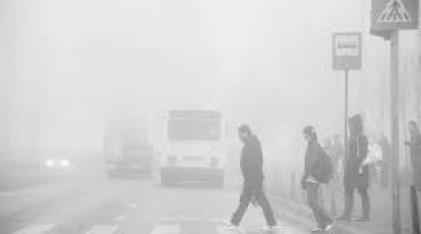 cod galben de ceata in cinci judete